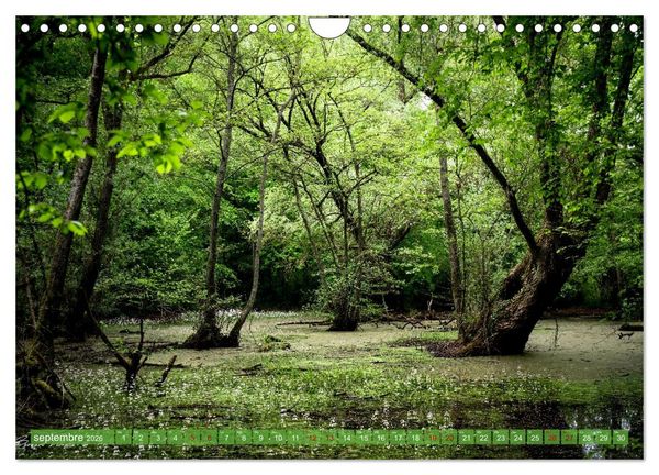 Produktbild: Les Hauts-de-France (Calendrier mural 2026 DIN A4 vertical), CALVENDO calendrier mensuel