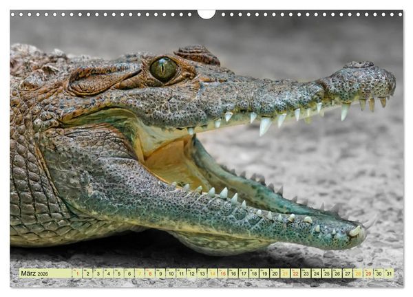 Produktbild: Urzeitreptilien - Krokodil (Wandkalender 2026 DIN A3 quer), CALVENDO Monatskalender