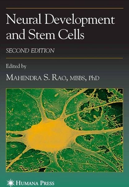 Produktbild: Neural Development and Stem Cells