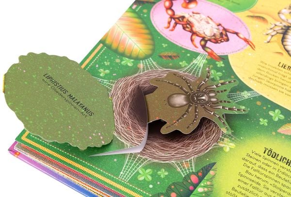 Das unglaubliche Pop-up-Buch Insekten