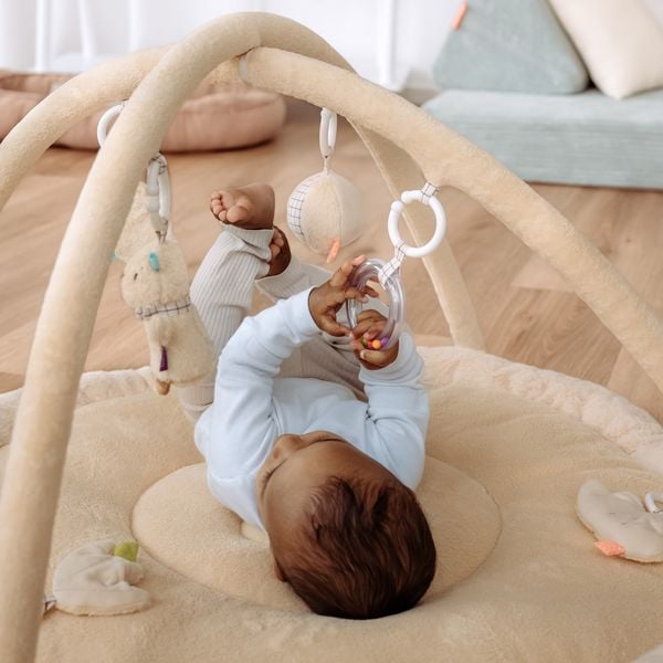 Produktbild: 3-D-Activity-Decke Capybara