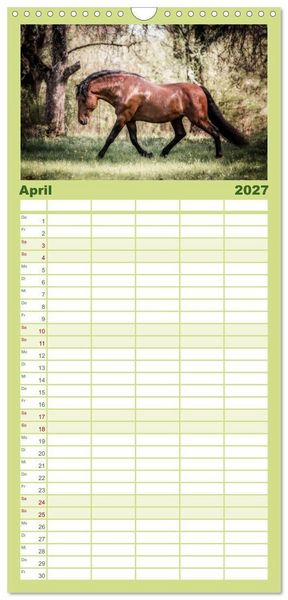Produktbild: Familienplaner 2027 - Die Faszinierende Welt der Pferde mit 5 Spalten (Wandkalender, 21 x 45 cm) CALVENDO