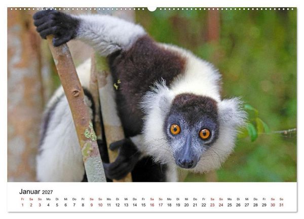 Produktbild: Blickpunkte auf Madagaskar (Wandkalender 2027 DIN A2 quer), CALVENDO Monatskalender