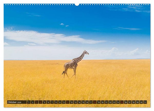 Produktbild: Ostafrika (Wandkalender 2026 DIN A2 quer), CALVENDO Monatskalender