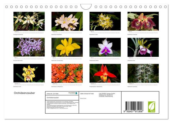 Produktbild: Orchideenzauber (Wandkalender 2026 DIN A4 quer), CALVENDO Monatskalender