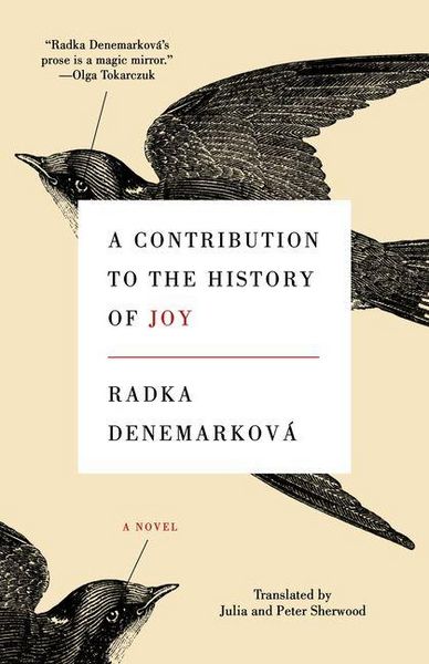 Produktbild: A Contribution to the History of Joy