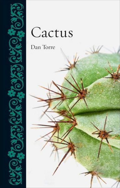 Produktbild: Cactus