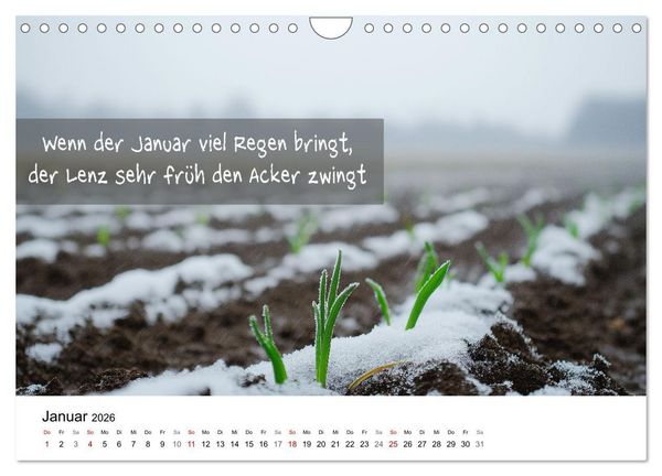 Produktbild: Bauernregeln Kalender - Rhythmus der Jahreszeiten (Wandkalender 2026 DIN A4 quer), CALVENDO Monatskalender