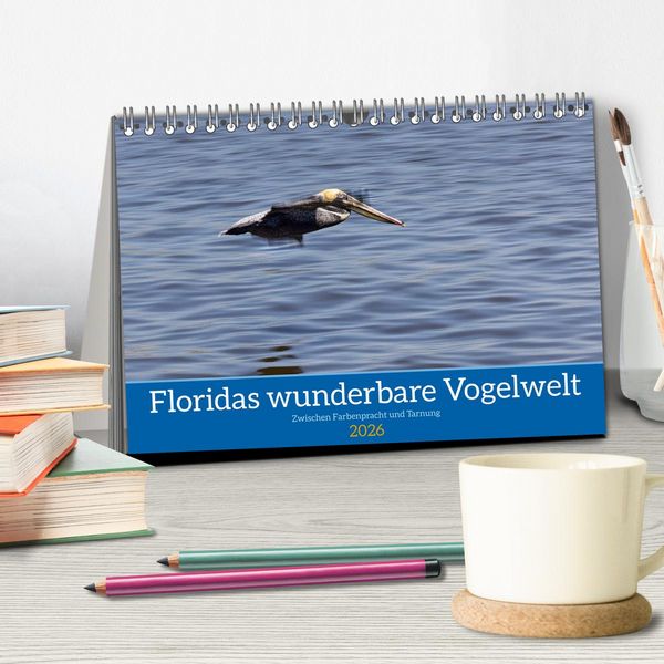Produktbild: Floridas wunderbare Vogelwelt (Tischkalender 2026 DIN A5 quer), CALVENDO Monatskalender