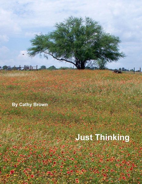 Produktbild: Just Thinking