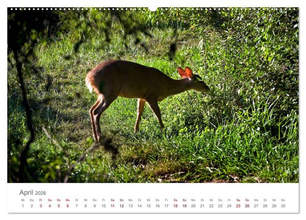 Produktbild: Faszinierendes Argentinien (Wandkalender 2026 DIN A2 quer), CALVENDO Monatskalender