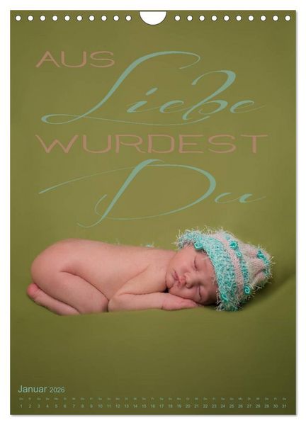 Produktbild: Babys - Die Liebe des Lebens (Wandkalender 2026 DIN A4 hoch), CALVENDO Monatskalender