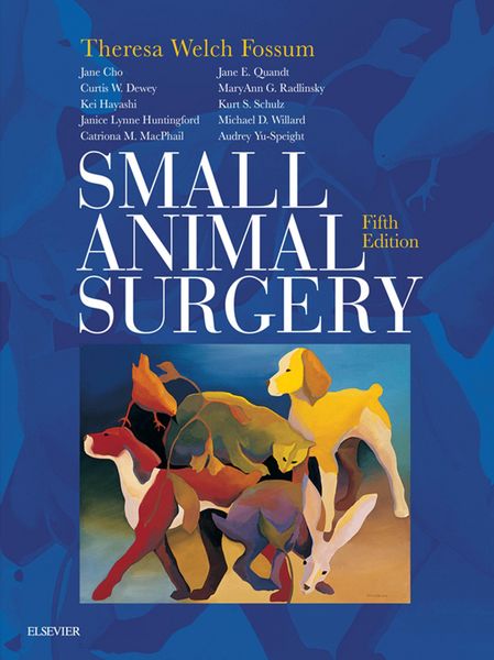 Produktbild: Small Animal Surgery E-Book