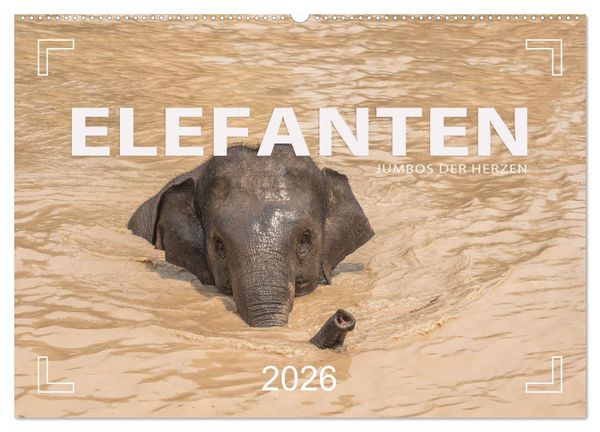 ELEFANTEN Jumbos der Herzen (Wandkalender 2026 DIN A2 quer), CALVENDO Monatskalender