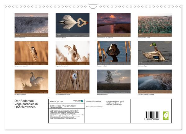 Produktbild: Der Federsee - Vogelparadies in Oberschwaben (Wandkalender 2026 DIN A3 quer), CALVENDO Monatskalender