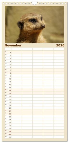 Produktbild: Familienplaner 2026 - Erdm&auml;nnchen: Zusammen sind wir stark mit 5 Spalten (Wandkalender, 21 x 45 cm) CALVENDO