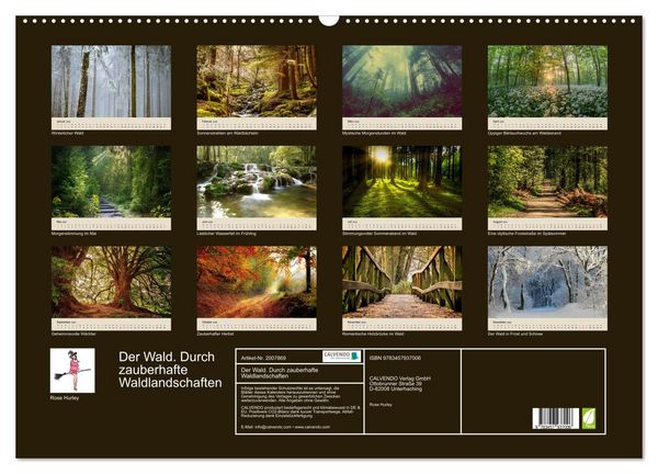 Produktbild: Der Wald. Durch zauberhafte Waldlandschaften (Wandkalender 2026 DIN A2 quer), CALVENDO Monatskalender