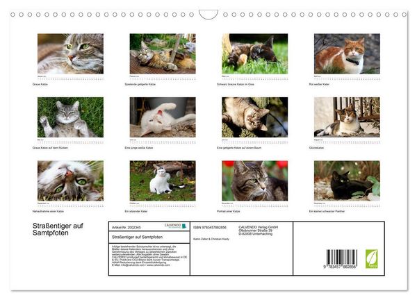 Produktbild: Stra&szlig;entiger auf Samtpfoten (Wandkalender 2026 DIN A3 quer), CALVENDO Monatskalender