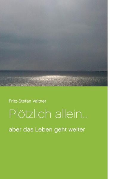 Produktbild: Pl&ouml;tzlich allein ...