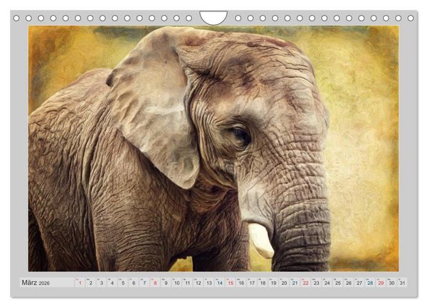 Produktbild: Elefanten - Portraits der besonderen Art (Wandkalender 2026 DIN A4 quer), CALVENDO Monatskalender