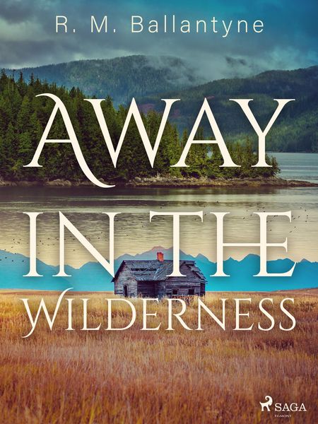 Produktbild: Away in the Wilderness