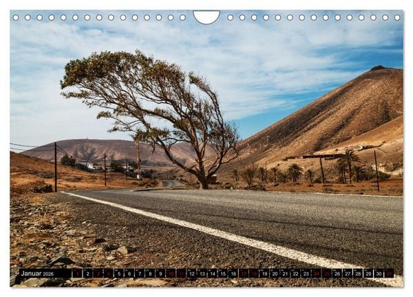 Produktbild: Fuerteventura - Eine Reise &uuml;ber die Vulkaninsel (Wandkalender 2026 DIN A4 quer), CALVENDO Monatskalender