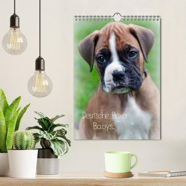 Produktbild: Deutsche Boxer Babys... (Wandkalender 2026 DIN A4 hoch), CALVENDO Monatskalender