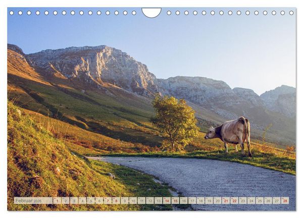 Produktbild: Slowenische Landschaften (Wandkalender 2026 DIN A4 quer), CALVENDO Monatskalender