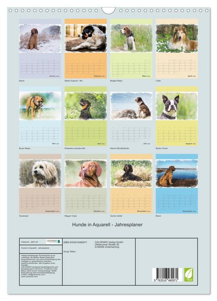 Produktbild: Hunde in Aquarell - Jahresplaner (Wandkalender 2026 DIN A3 hoch), CALVENDO Monatskalender