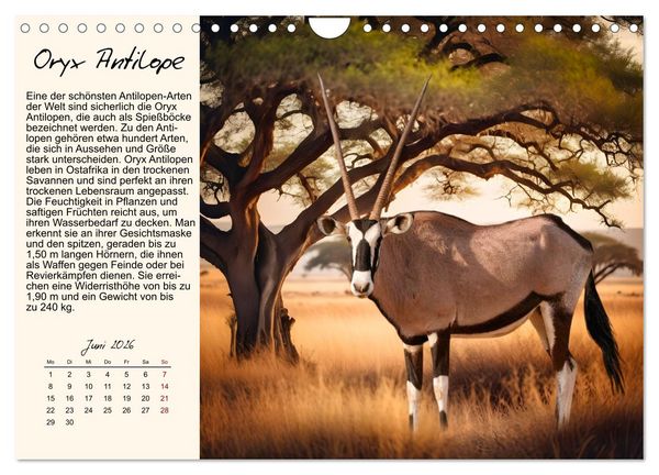 Produktbild: Majest&auml;tische Horntr&auml;ger (Wandkalender 2026 DIN A4 quer), CALVENDO Monatskalender