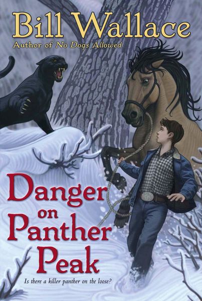 Produktbild: Danger on Panther Peak