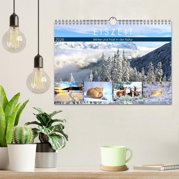 Produktbild: Eiszeit. Winter und Frost in der Natur (Wandkalender 2026 DIN A4 quer), CALVENDO Monatskalender