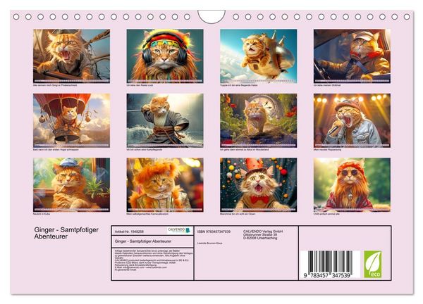 Produktbild: Ginger - Samtpfotiger Abenteurer (Wandkalender 2026 DIN A4 quer), CALVENDO Monatskalender