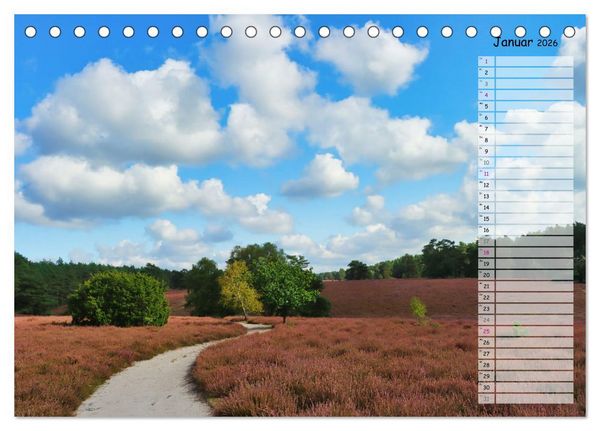 Produktbild: Heidespaziergang (Tischkalender 2026 DIN A5 quer), CALVENDO Monatskalender