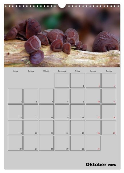 Produktbild: Quer durch die Pilze (Wandkalender 2026 DIN A3 hoch), CALVENDO Monatskalender