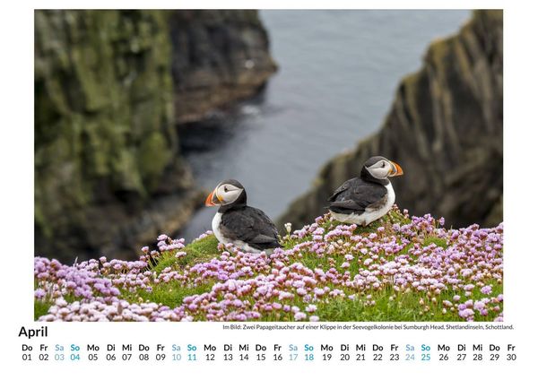 Produktbild: Orkney Inseln