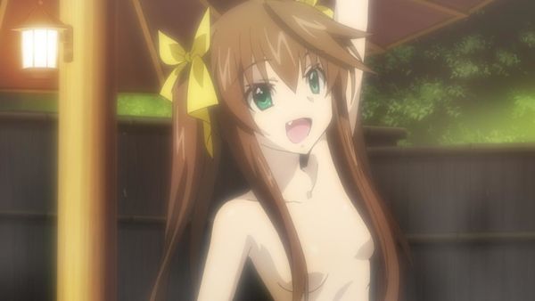 Produktbild: Infinite Stratos 2 - Volume 2