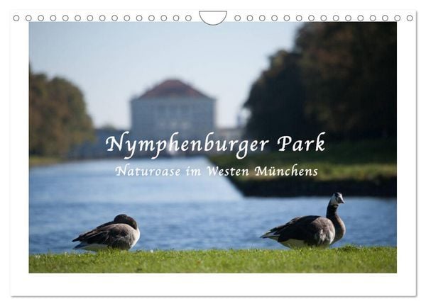 Produktbild: Nymphenburger Park (Wandkalender 2026 DIN A4 quer), CALVENDO Monatskalender