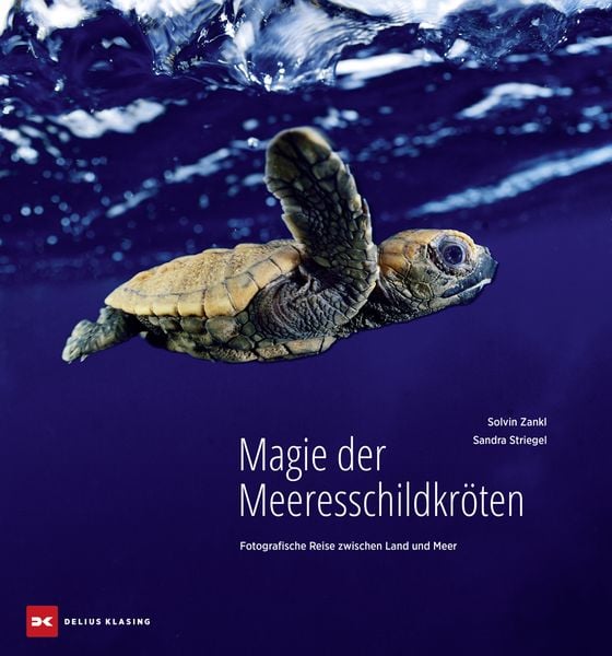 Produktbild: Magie der Meeresschildkr&ouml;ten