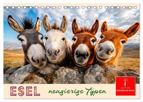 Produktbild: Esel - neugierige Typen (Tischkalender 2027 DIN A5 quer), CALVENDO Monatskalender