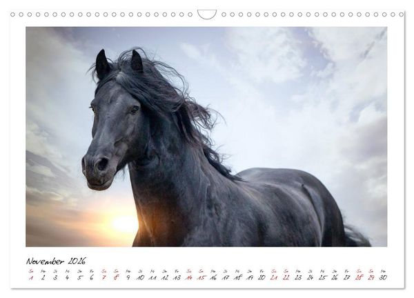 Produktbild: Friesen - stolze Giganten (Wandkalender 2026 DIN A3 quer), CALVENDO Monatskalender