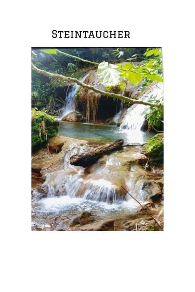 'STEINTAUCHER ' Liebesdurstige Beobachtungen eines in die Jahre gekommenen Mannes. Gerade so,als hätte da jemand noch einmal seine Träume an das