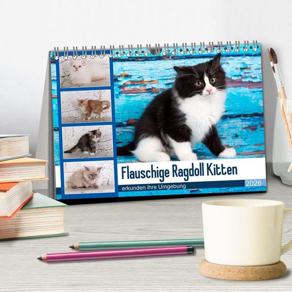 Produktbild: Flauschige Ragdoll Kitten (Tischkalender 2026 DIN A5 quer), CALVENDO Monatskalender