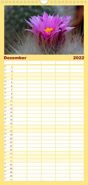 Produktbild: Bl&uuml;tensymphonie - Kakteen und Sukkulenten - Familienplaner hoch (Wandkalender 2022 , 21 cm x 45 cm, hoch)