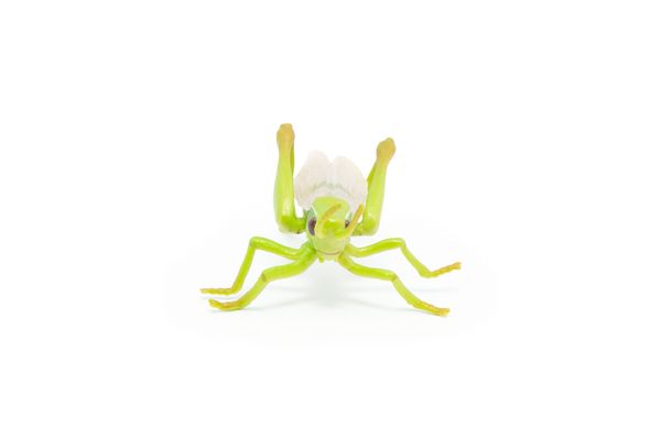 Produktbild: Spielfigur Heuschrecke 7cm