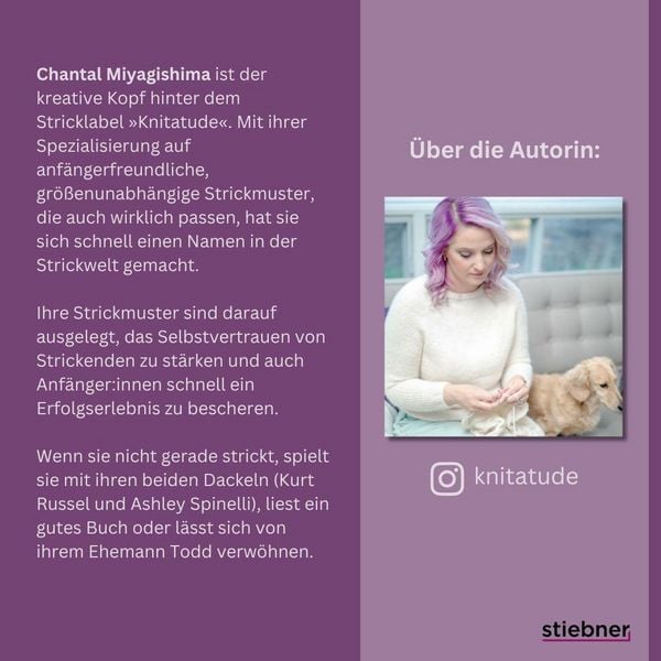 Produktbild: Pullover stricken ganz einfach