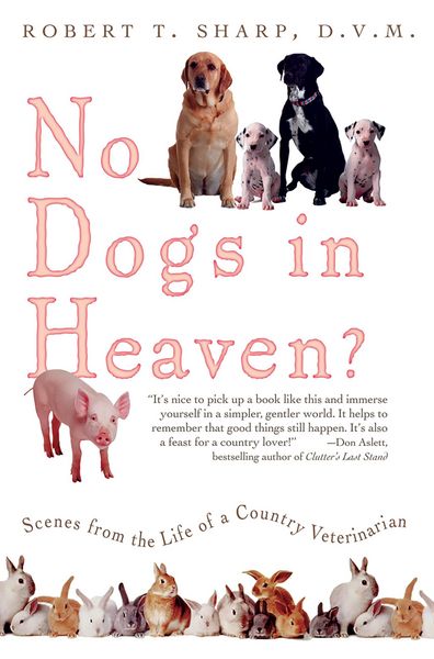 Produktbild: No Dogs in Heaven?