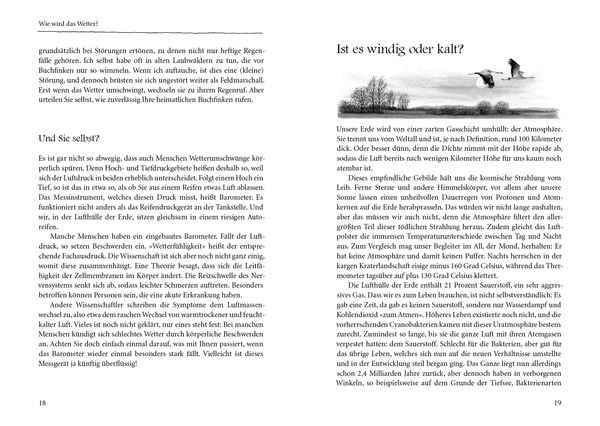 Produktbild: Kranichflug und Blumenuhr