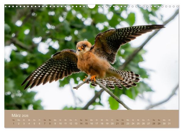 Produktbild: Jenseits der Z&auml;une (Wandkalender 2026 DIN A3 quer), CALVENDO Monatskalender