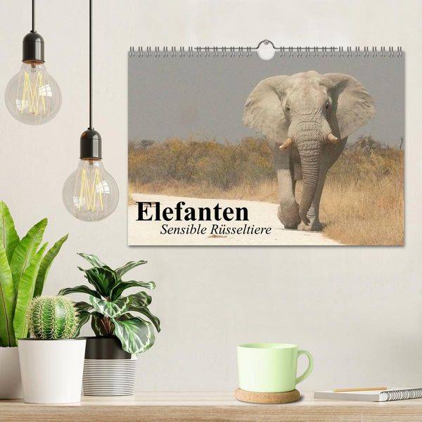 Produktbild: Elefanten. Sensible R&uuml;sseltiere (Wandkalender 2026 DIN A4 quer), CALVENDO Monatskalender
